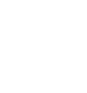 Privacy and protection is at the core of what Prisidio delivers.